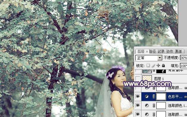 ‘Photoshop制作古典青褐色效果的树林婚片‘