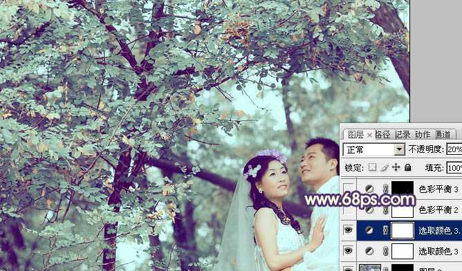 ‘Photoshop制作古典青褐色效果的树林婚片‘