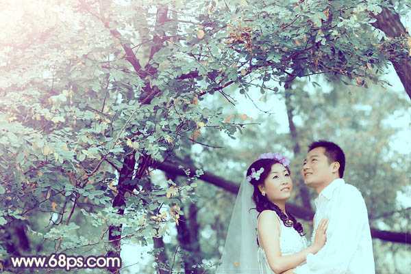 ‘Photoshop制作古典青褐色效果的树林婚片‘