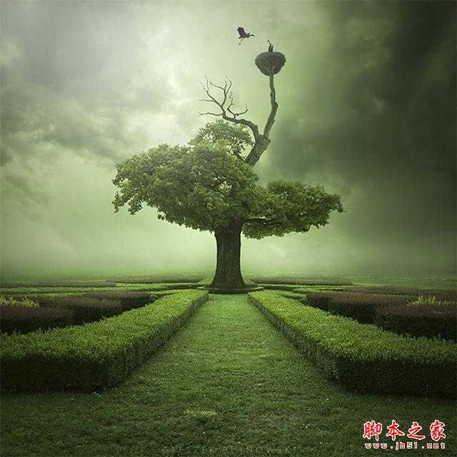 发挥你的摄影创造力