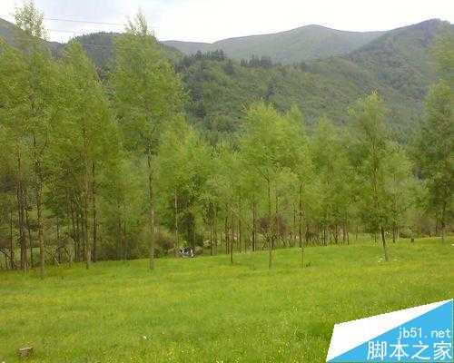 ‘入门:PhotoShop曲线的运用‘