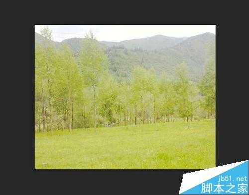 ‘入门:PhotoShop曲线的运用‘