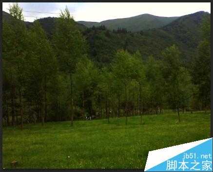 ‘入门:PhotoShop曲线的运用‘