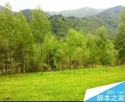 ‘入门:PhotoShop曲线的运用‘