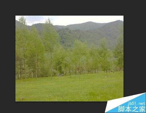 ‘入门:PhotoShop曲线的运用‘