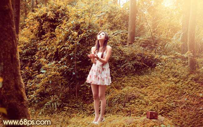 ‘Photoshop将树林美女图片调制出梦幻的橙褐色‘
