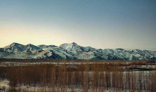 ‘PS为照片后期处理调出“高级灰”的详细步骤‘