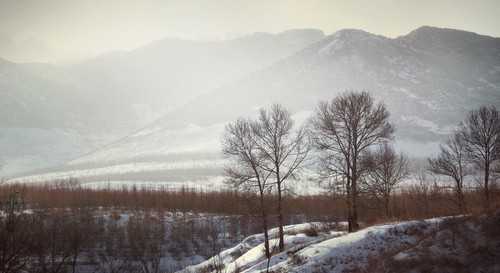‘PS为照片后期处理调出“高级灰”的详细步骤‘