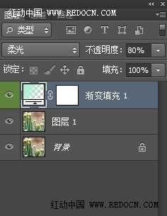 ‘Photoshop将鲜艳的梅花图片调出漂亮的日韩系效果粉调青红色‘