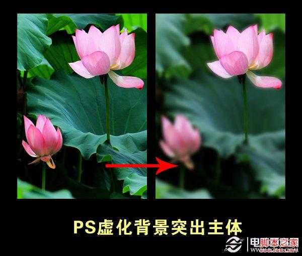 ‘如何使用PS虚化背景突出主体