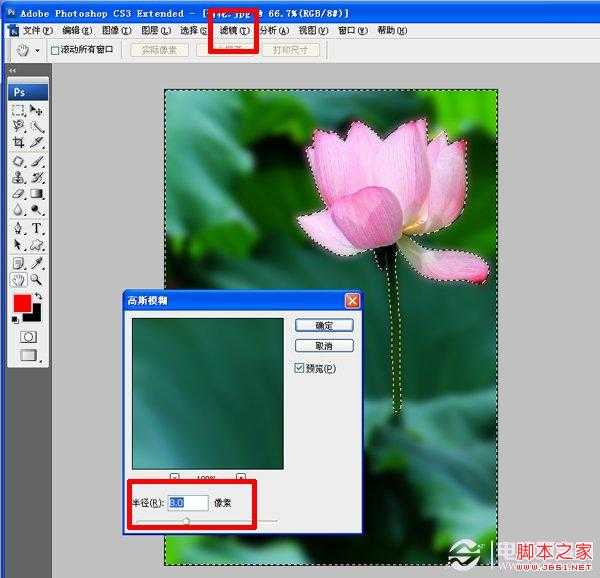 ‘如何使用PS虚化背景突出主体