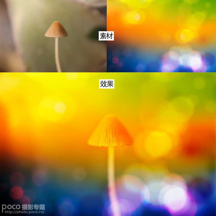 ‘photoshop打造出唯美梦幻的微距生态摄影图片教程‘