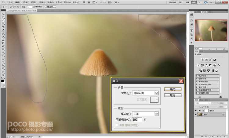 ‘photoshop打造出唯美梦幻的微距生态摄影图片教程‘