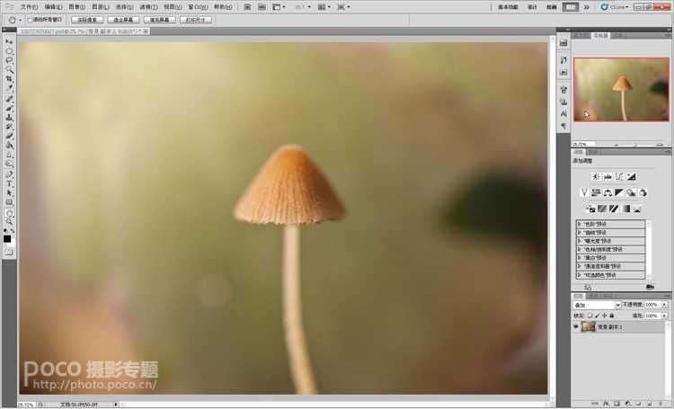 ‘photoshop打造出唯美梦幻的微距生态摄影图片教程‘