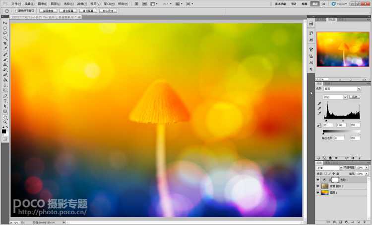 ‘photoshop打造出唯美梦幻的微距生态摄影图片教程‘