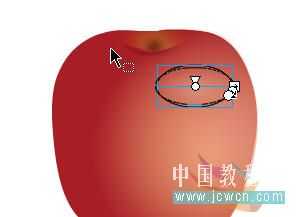 Flash鼠绘实例:绘制写真苹果教程