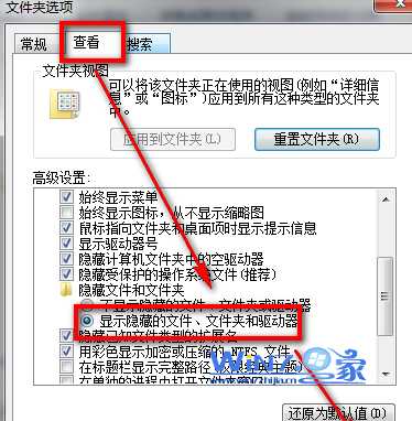 选择“显示隐藏的文件、文件夹和驱动器”