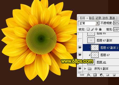 ‘Photoshop打造漂亮的向日葵花朵‘