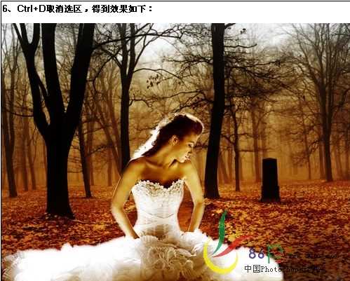 Photoshop照片合成：蝴蝶仙女