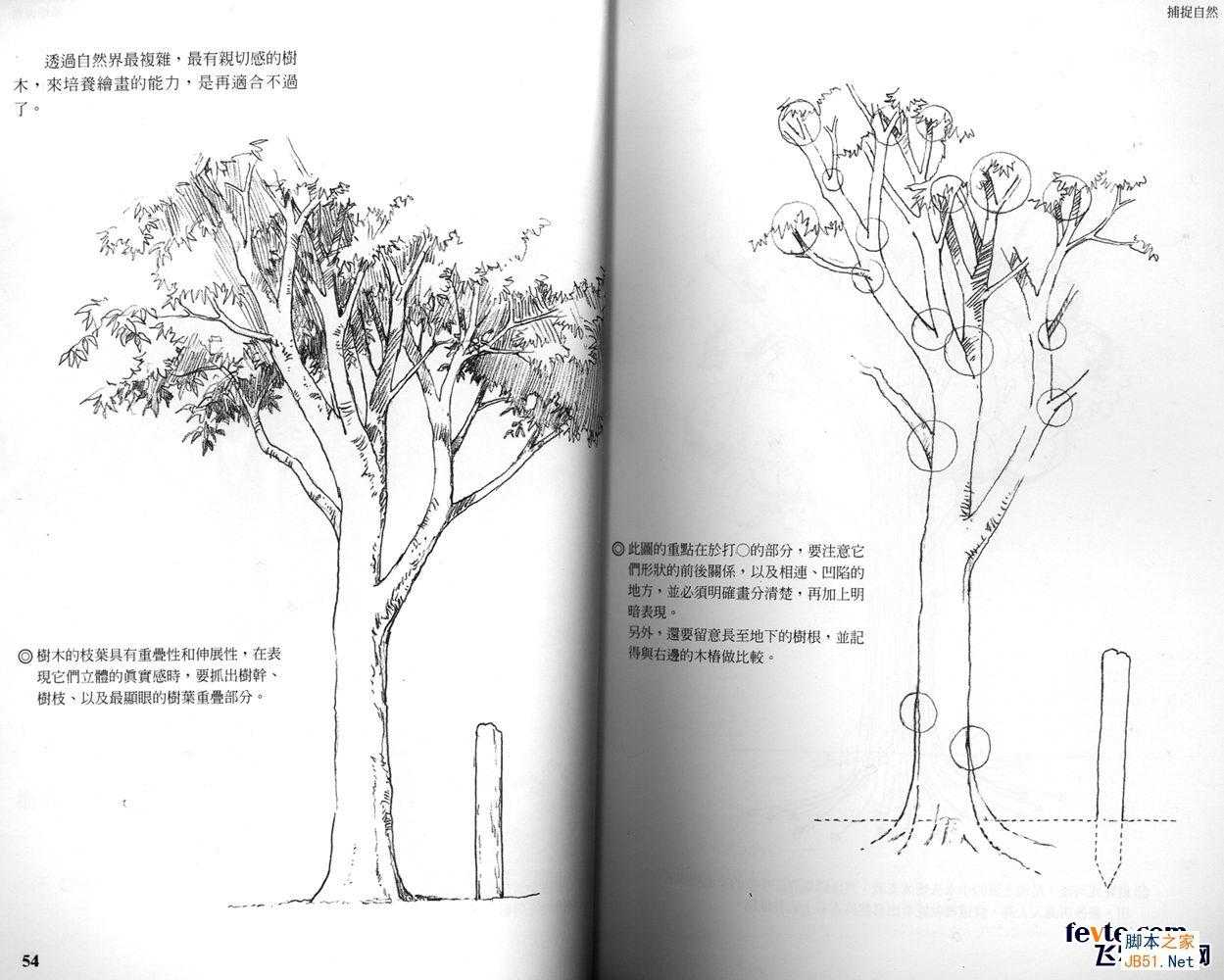 动画场景入门技巧 Painter教程 技术分享
