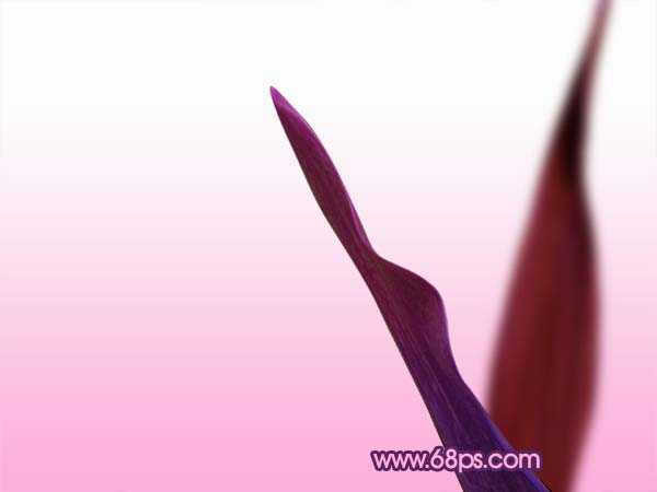 ‘Photoshop