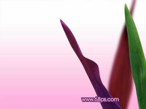 ‘Photoshop