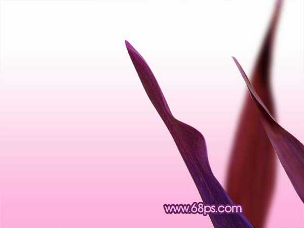 ‘Photoshop