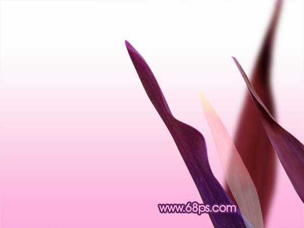 ‘Photoshop