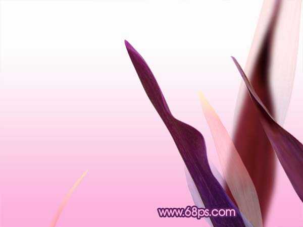 ‘Photoshop