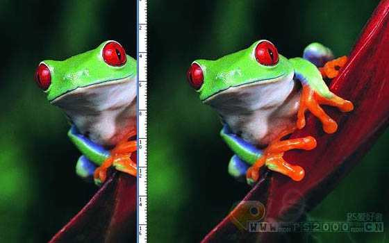 ‘photoshop