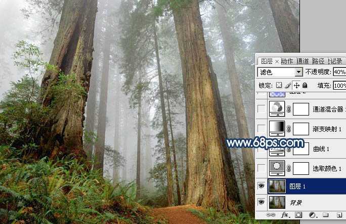 ‘Photoshop制作暗调蓝紫色的森林图片‘