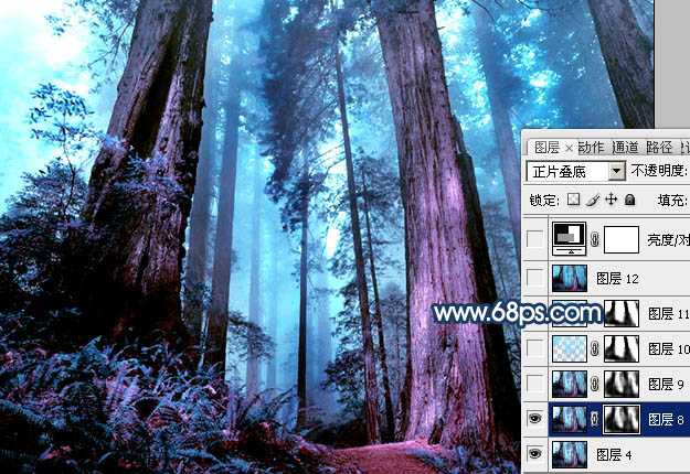 ‘Photoshop制作暗调蓝紫色的森林图片‘