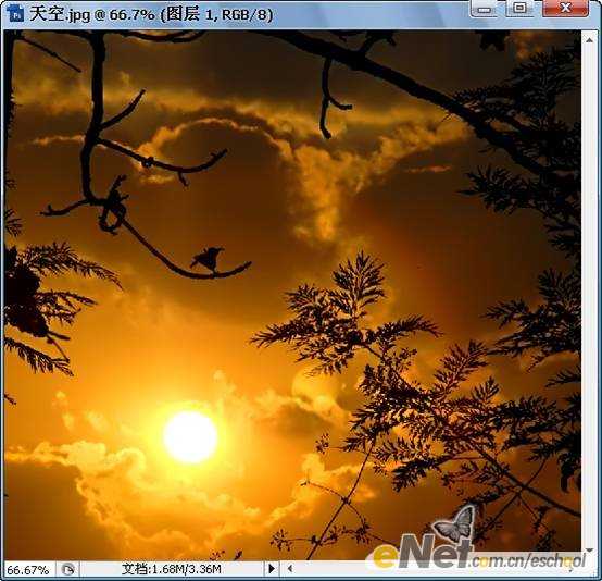 ‘Photoshop合成制作信鸽在阴森恐怖大的月夜下飞翔特效‘