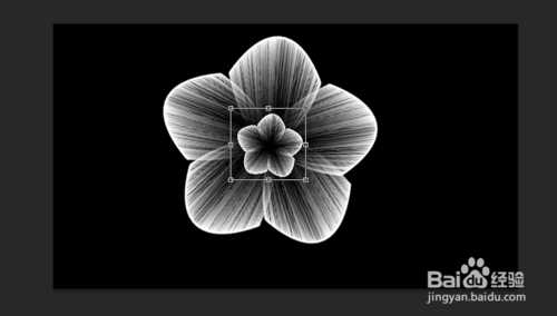 ‘PS滤镜风制作漂亮的花朵效果‘