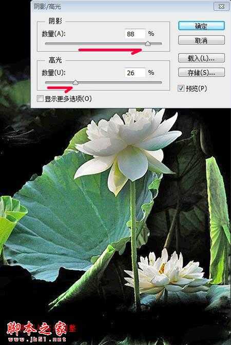 ‘PS利用滤镜及图层叠加将荷花图片制作成逼真的水墨画‘
