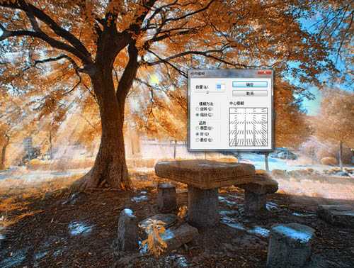‘使用Photoshop滤镜制作唯美太阳光效果的大树照片‘