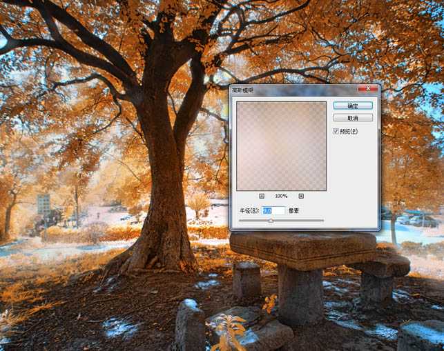 ‘使用Photoshop滤镜制作唯美太阳光效果的大树照片‘