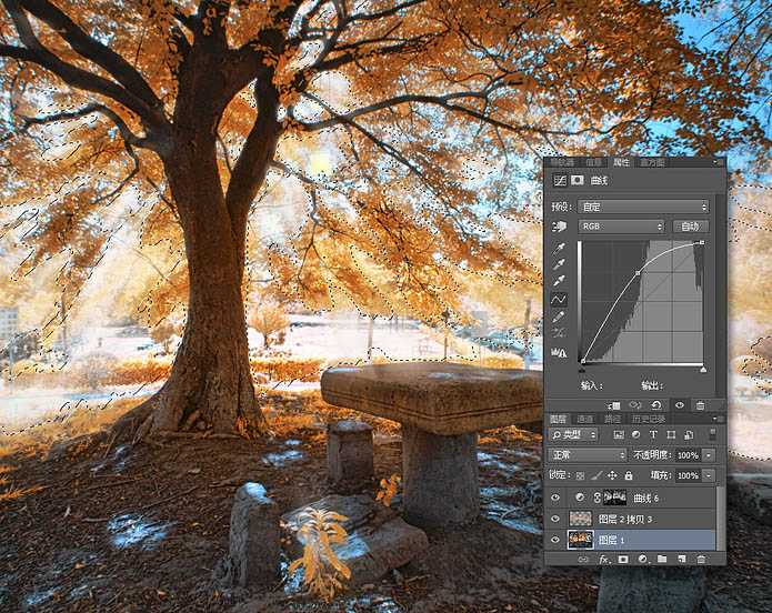 ‘使用Photoshop滤镜制作唯美太阳光效果的大树照片‘