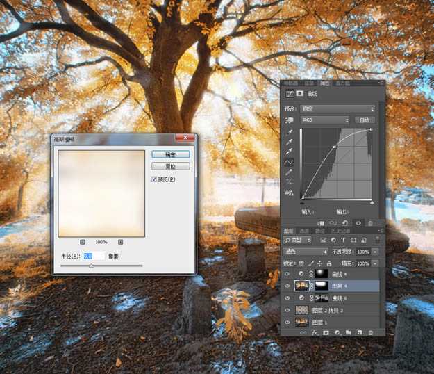 ‘使用Photoshop滤镜制作唯美太阳光效果的大树照片‘