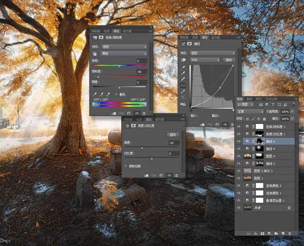 ‘使用Photoshop滤镜制作唯美太阳光效果的大树照片‘