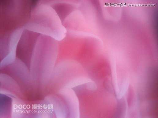 ‘Photoshop后期合成唯美的花朵人像效果图‘