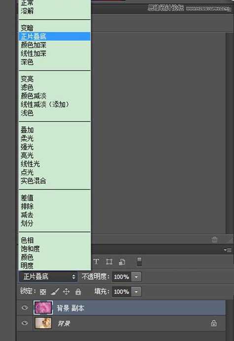 ‘Photoshop后期合成唯美的花朵人像效果图‘