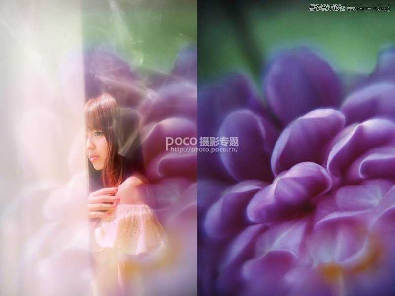‘Photoshop后期合成唯美的花朵人像效果图‘
