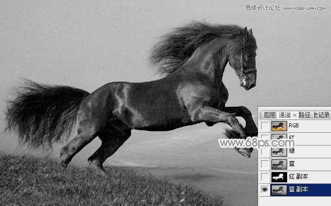 ‘Photoshop将骏马图制作中国风特效水墨效果‘