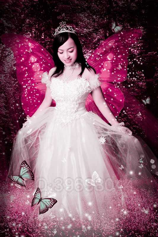 ‘Photoshop制作唯美的粉红色蝴蝶仙子效果教程‘