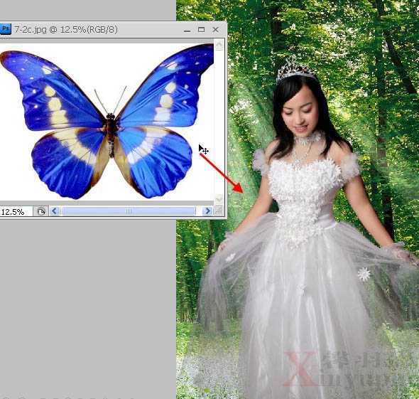 ‘Photoshop制作唯美的粉红色蝴蝶仙子效果教程‘