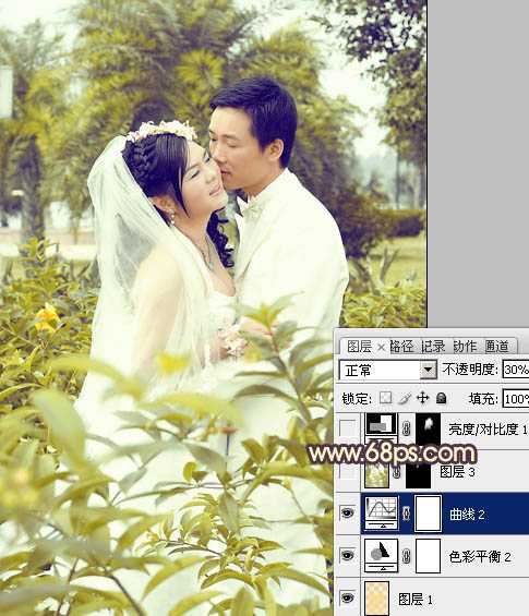 ‘Photoshop为树林婚片调制出柔和的古典黄绿色效果‘