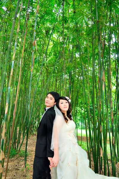 ‘Photoshop将竹林人物图片调成柔和的蓝紫色‘