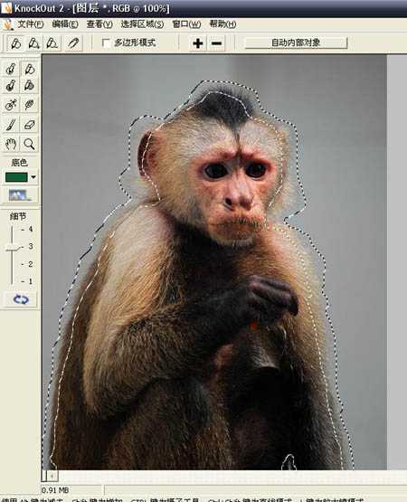 ‘photoshop一图多解找出抠取毛发的最佳方法‘