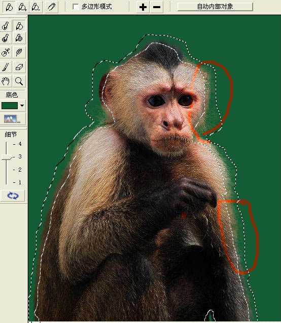 ‘photoshop一图多解找出抠取毛发的最佳方法‘